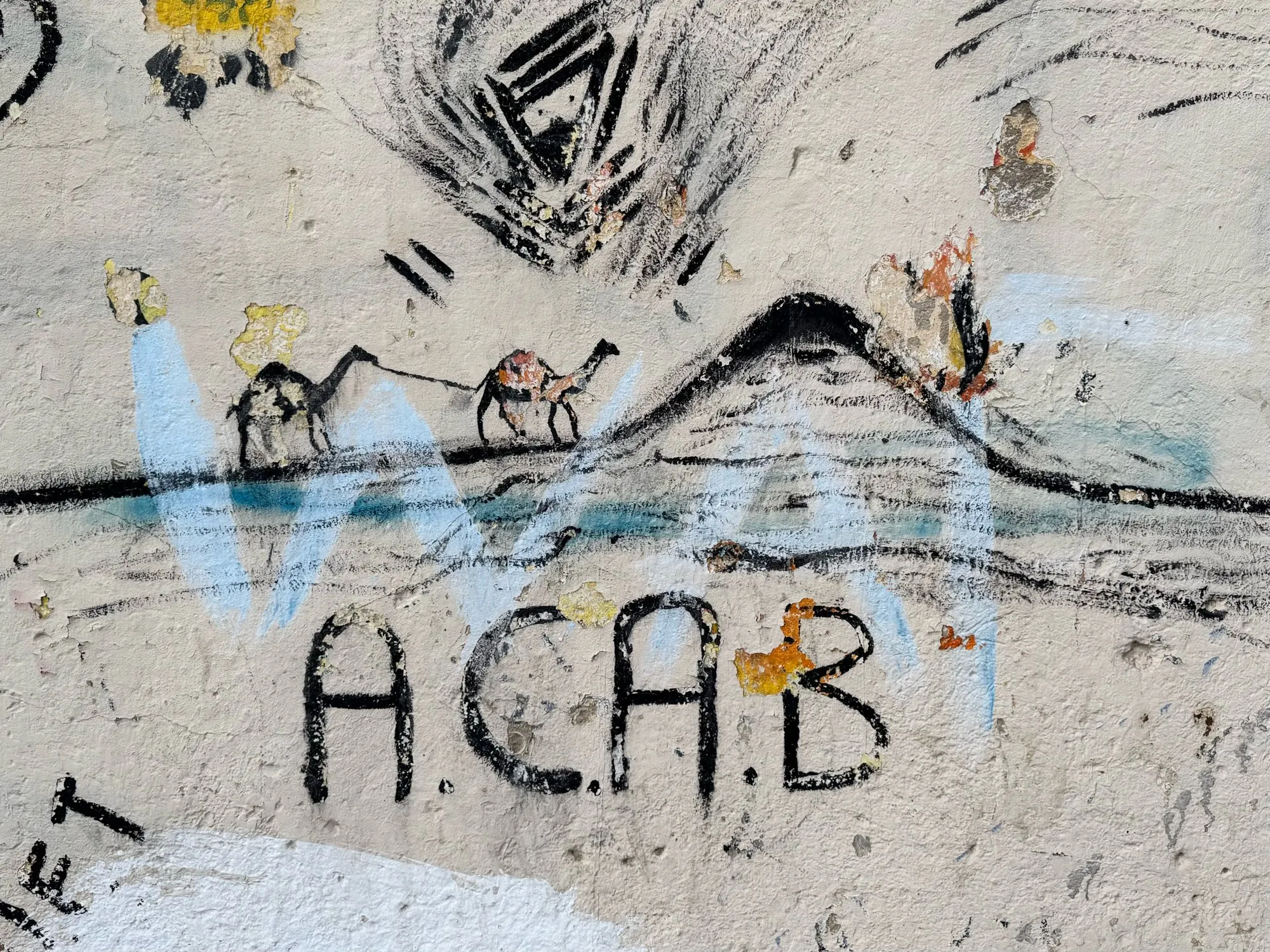 Graffiti on a wall in Féz, Morocco showing a few camels and the text ACAB.