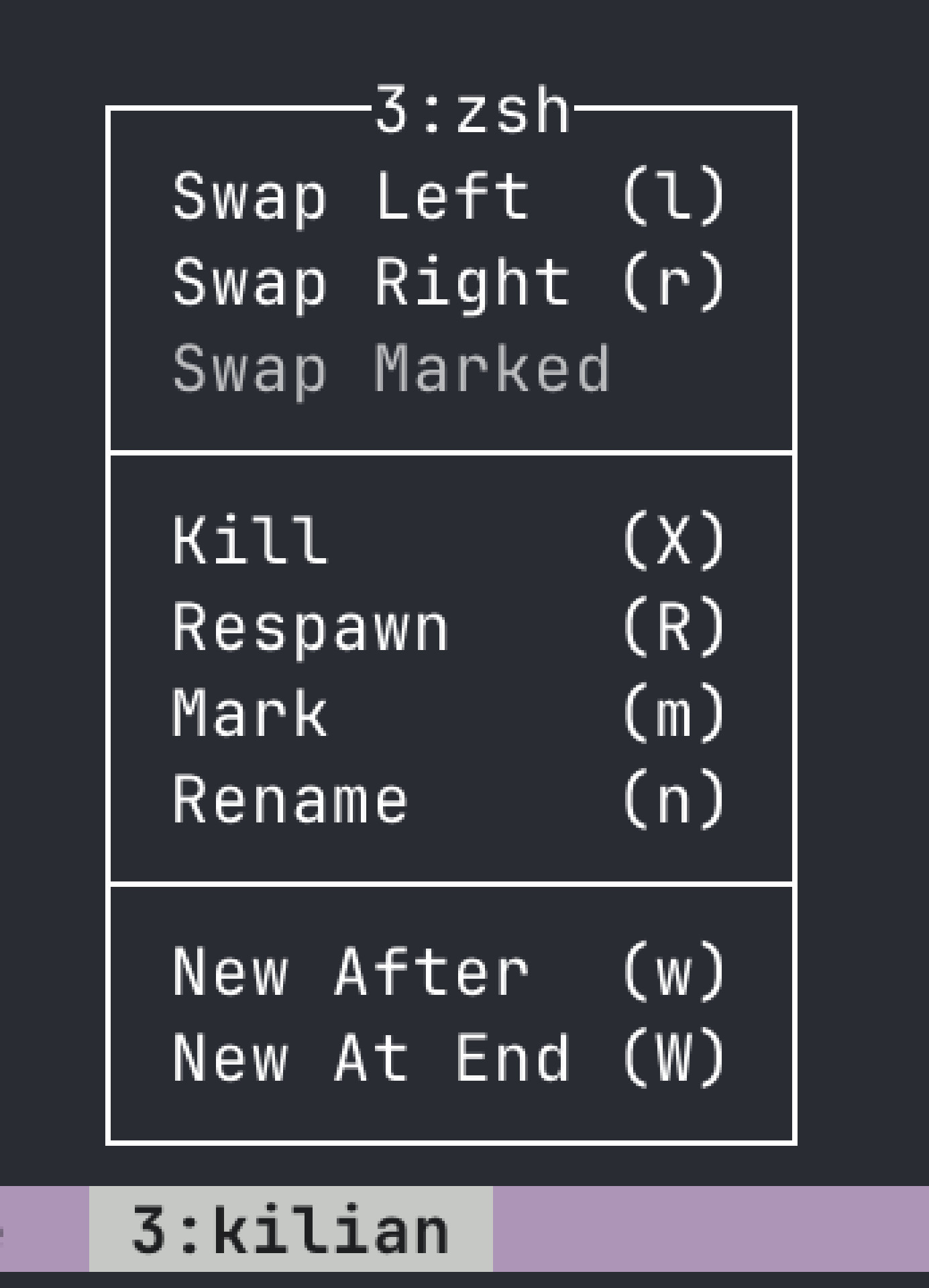 Screenshot of tmux' context menu including actions like swap, kill, and rename.